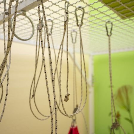 Praxisraum in kräftigem Grün mit floralen Wandpostern